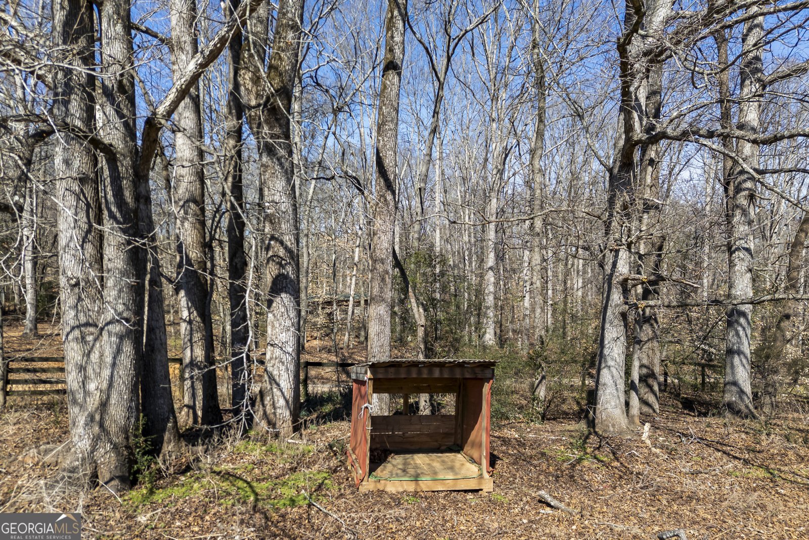 2223 Salem Road Watkinsville - Photo 79