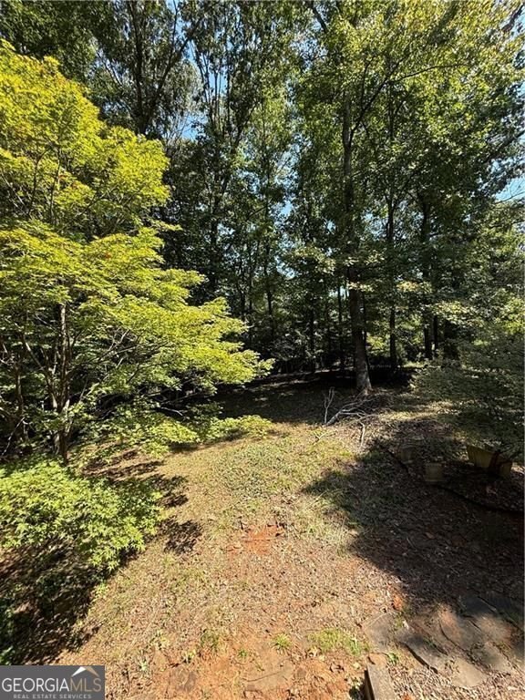 4651 Deep Creek Drive Sugar Hill - Photo 35