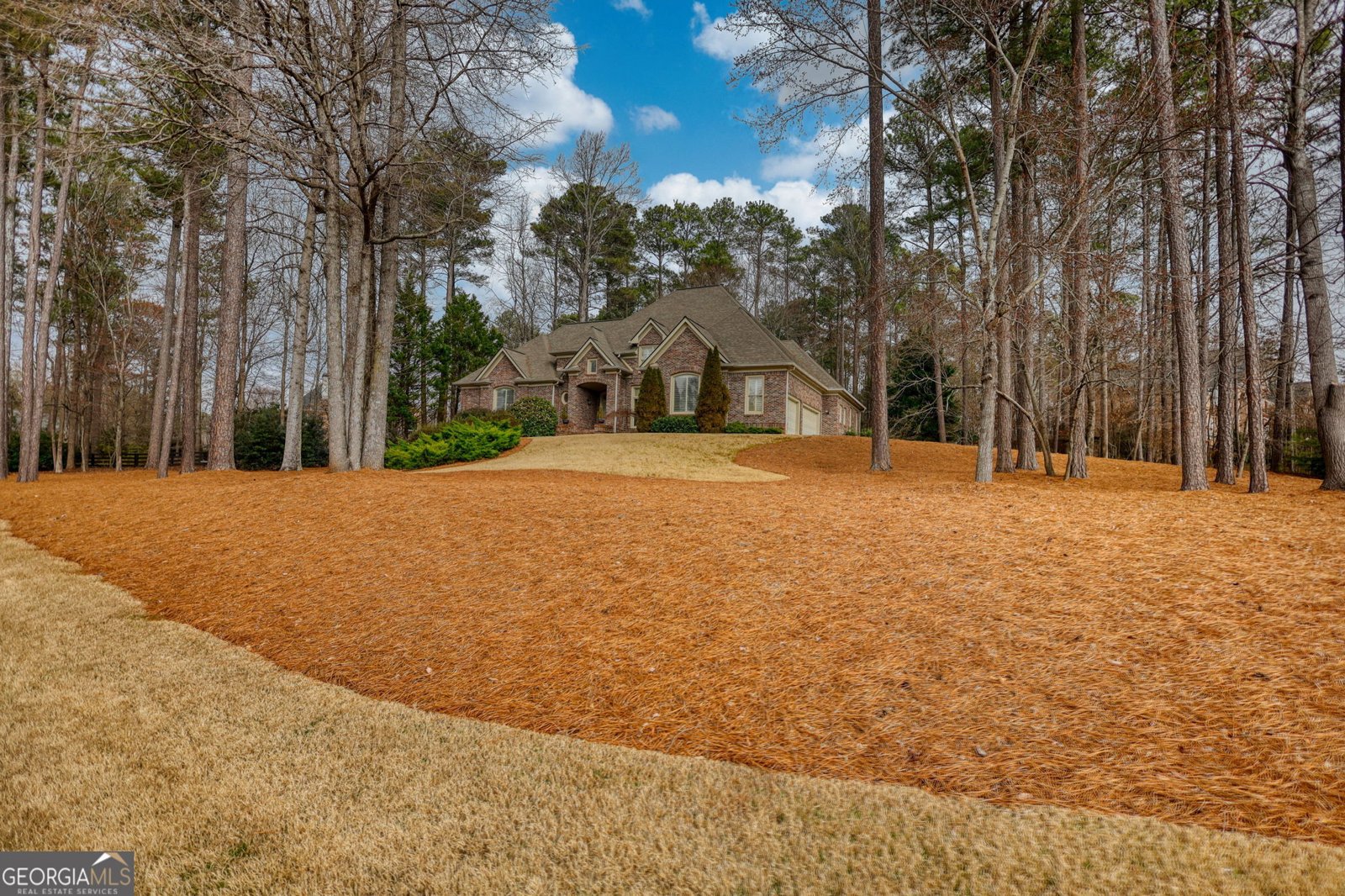 720 Bethany Green Court Milton - Photo 74