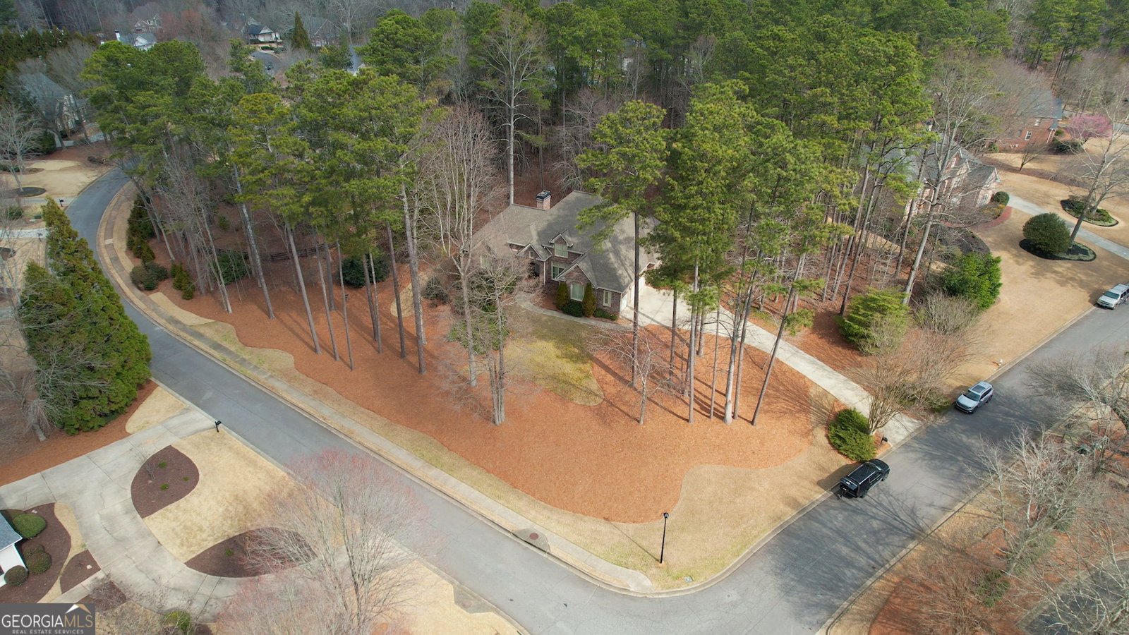 720 Bethany Green Court Milton - Photo 88