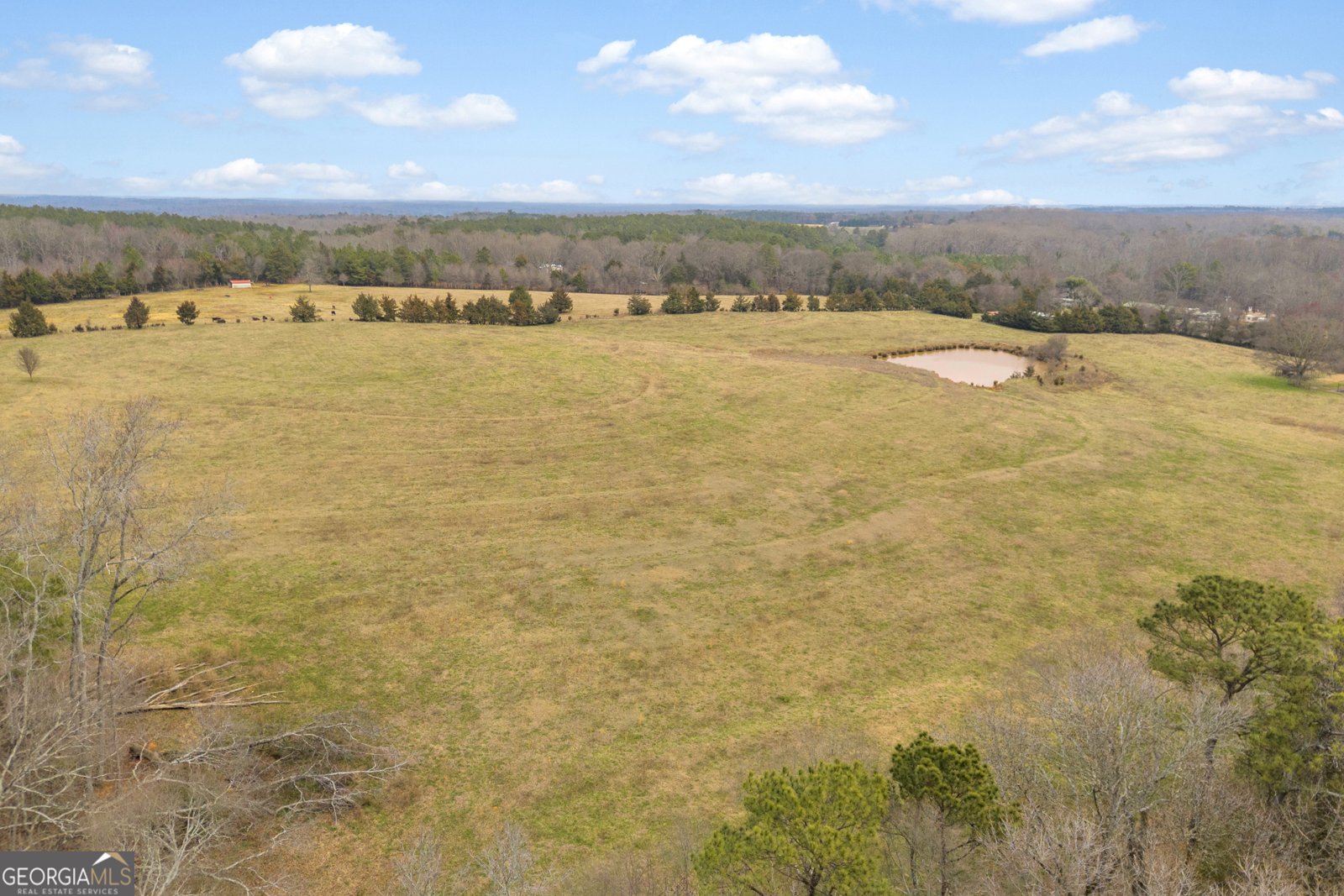 7743 Mount Olivet Road Hartwell - Photo 19