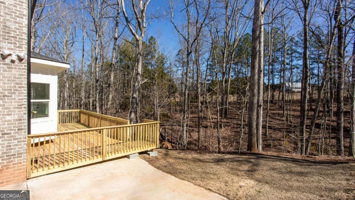 4120 Alayna Lee Circle Mcdonough - Photo 8