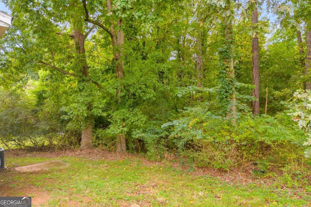 303 Martin Circle Athens - Photo 29