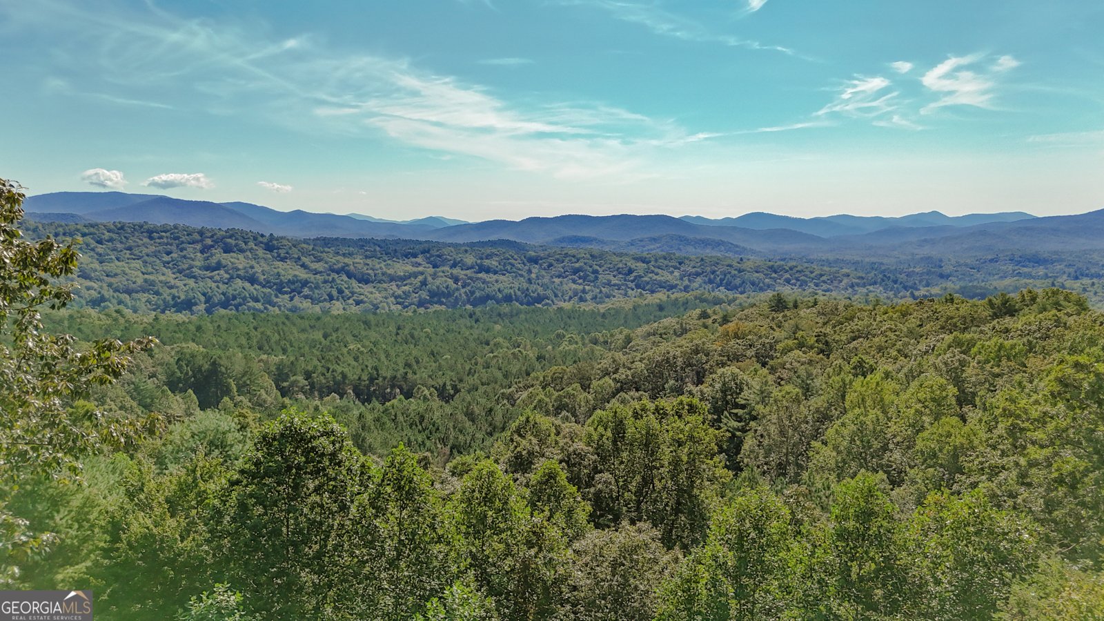 832 Scenic Mountain View Road Blue Ridge - Photo 48