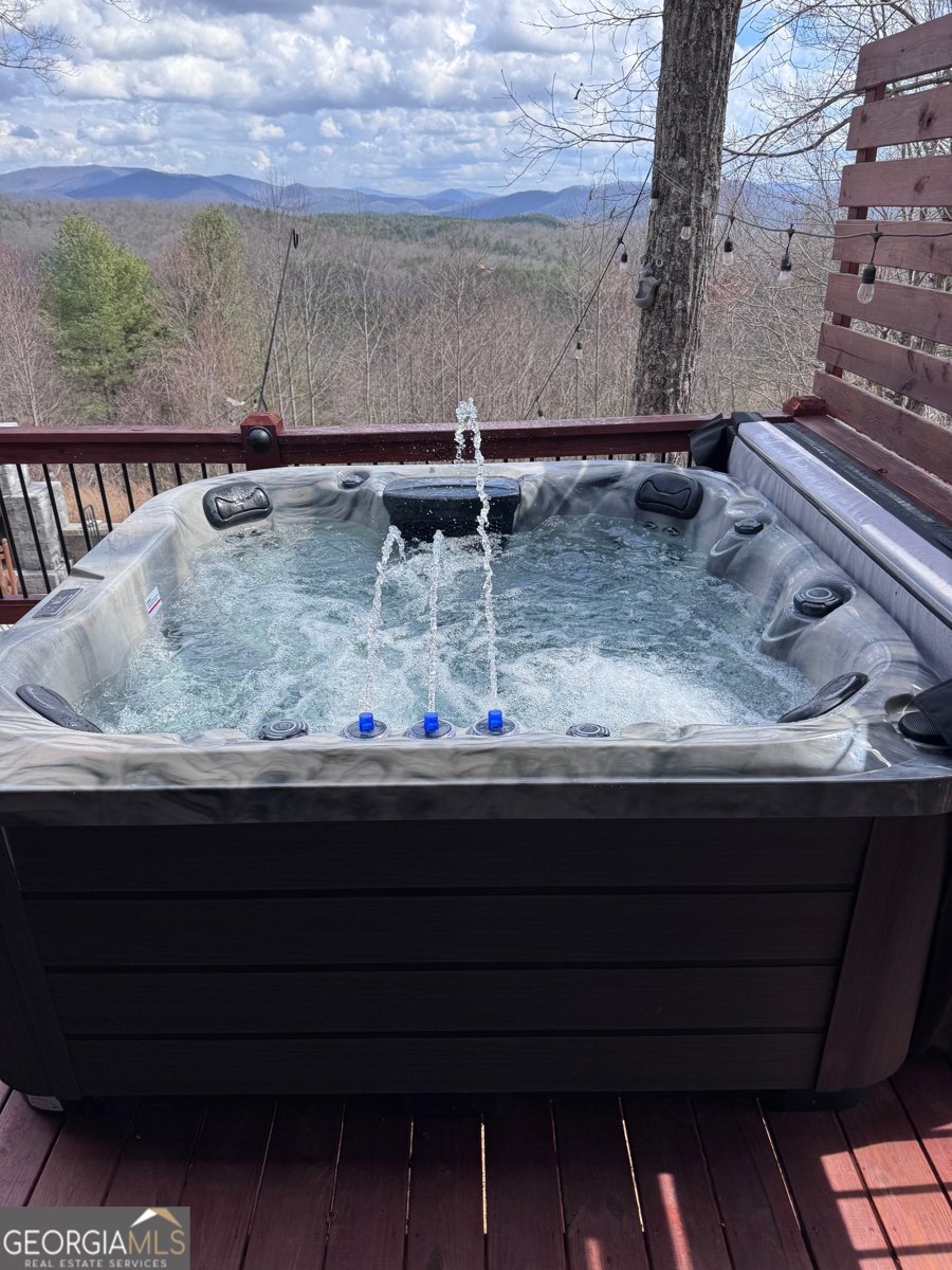 832 Scenic Mountain View Road Blue Ridge - Photo 54