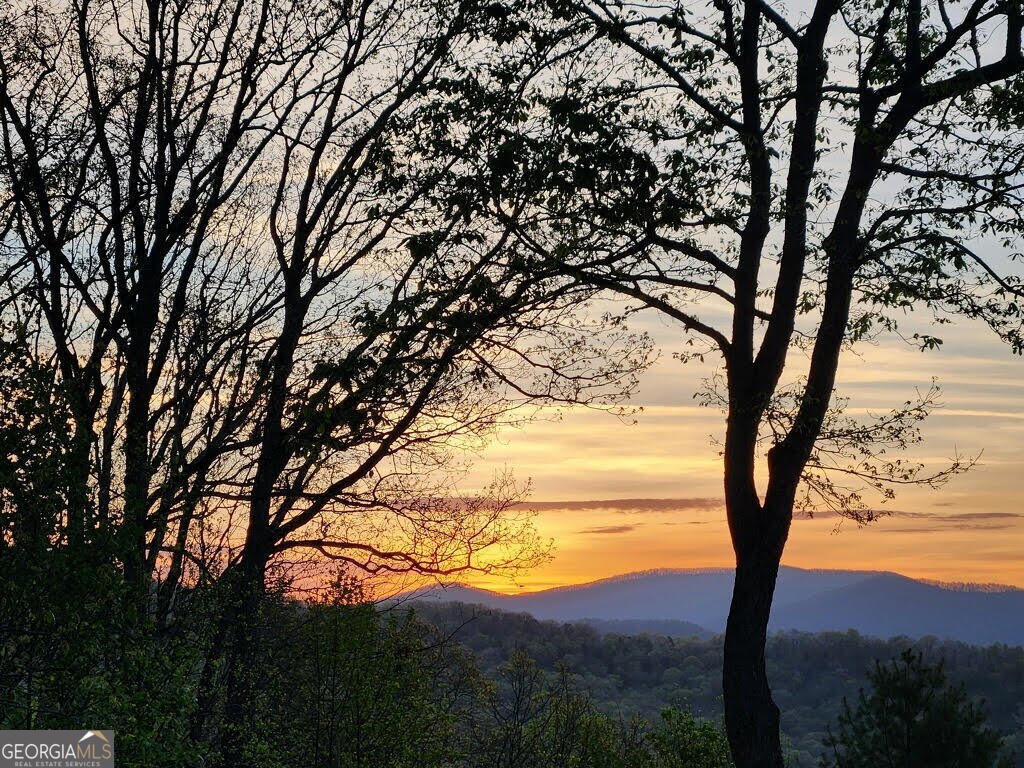 832 Scenic Mountain View Road Blue Ridge - Photo 57