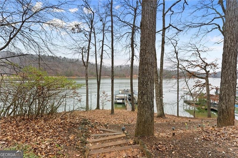 111 Woodstone Place Dawsonville - Photo 52