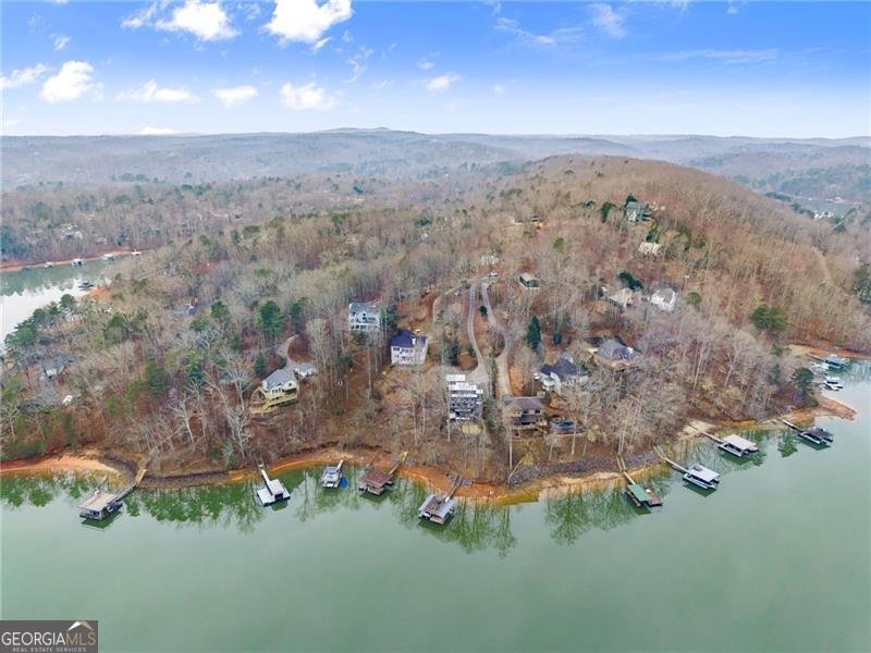 111 Woodstone Place Dawsonville - Photo 74