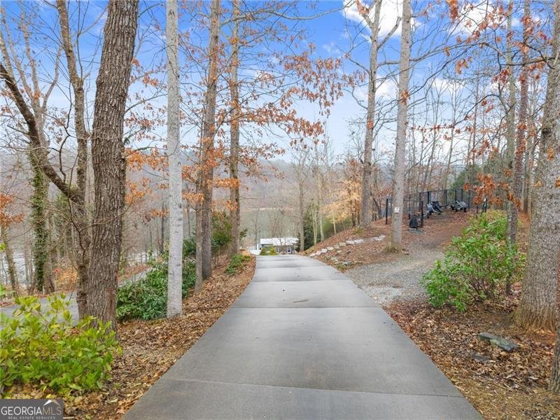 111 Woodstone Place Dawsonville - Photo 93