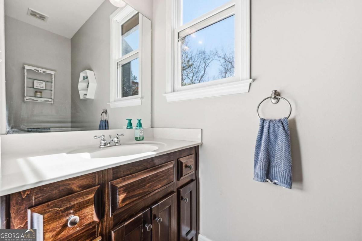 313 Spring Hill Drive Canton - Photo 19