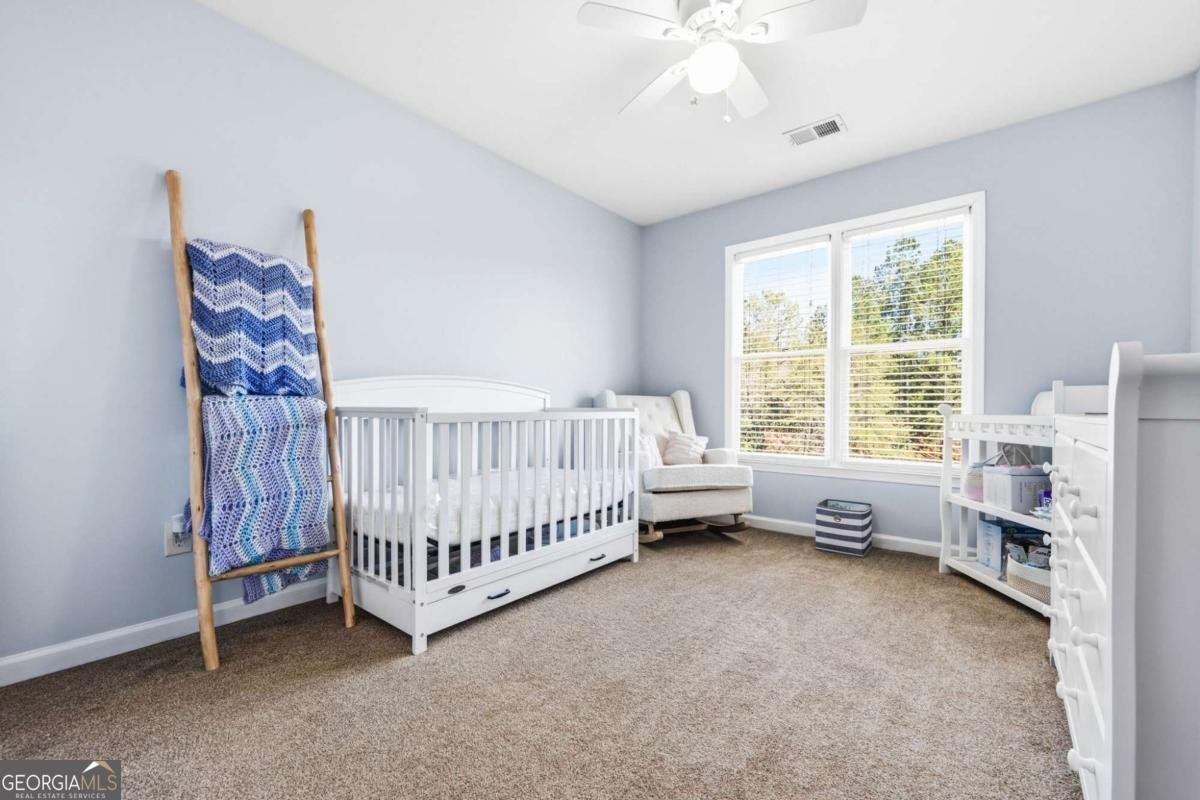 313 Spring Hill Drive Canton - Photo 23