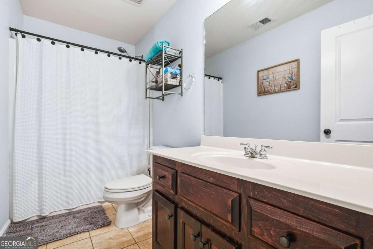 313 Spring Hill Drive Canton - Photo 25