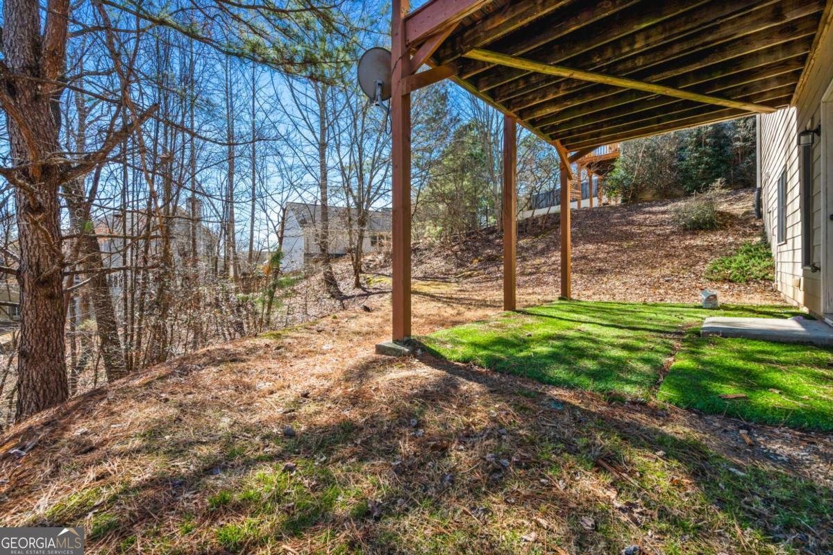 313 Spring Hill Drive Canton - Photo 34