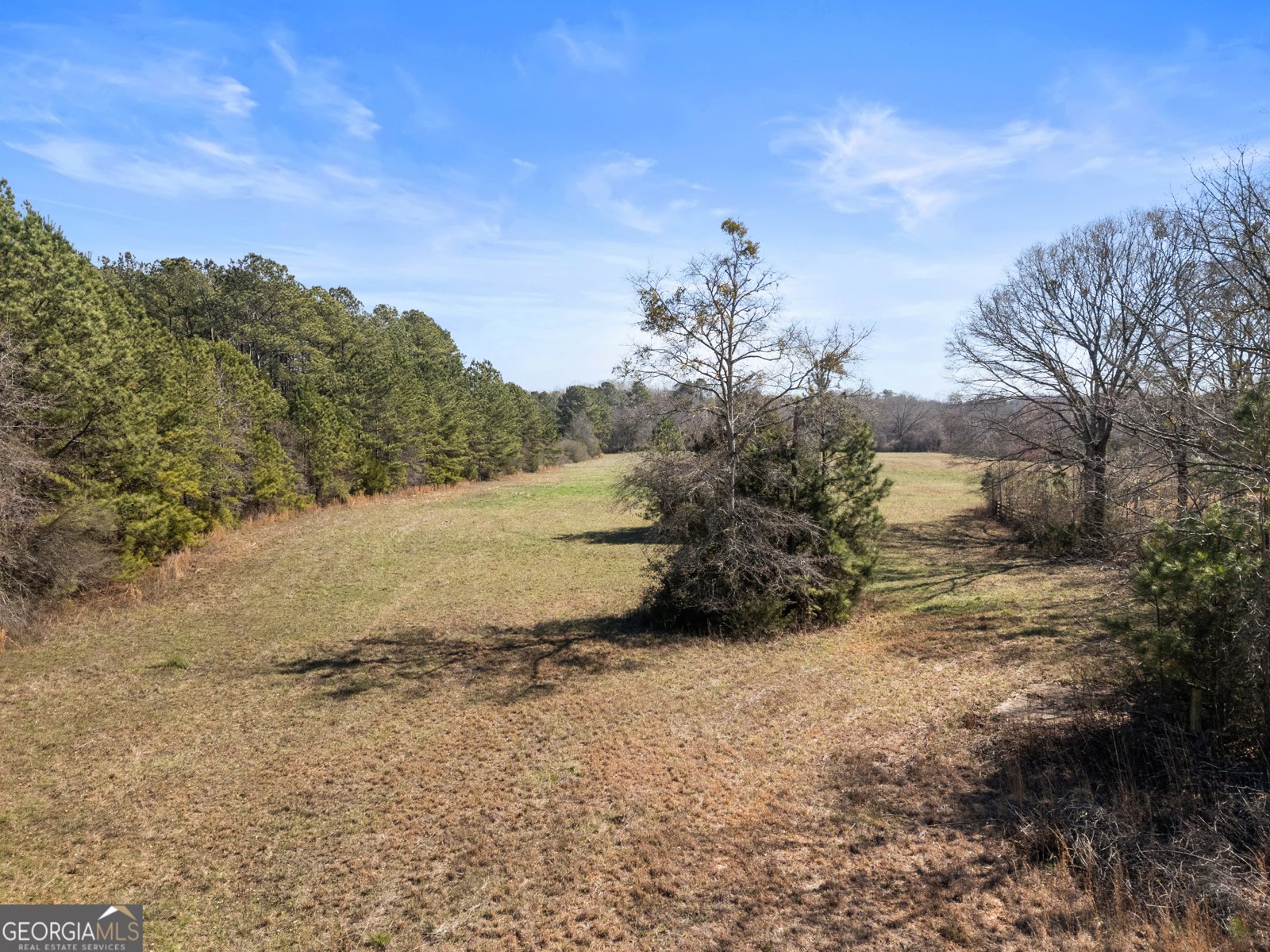 1049 Highway 36 Jackson - Photo 41