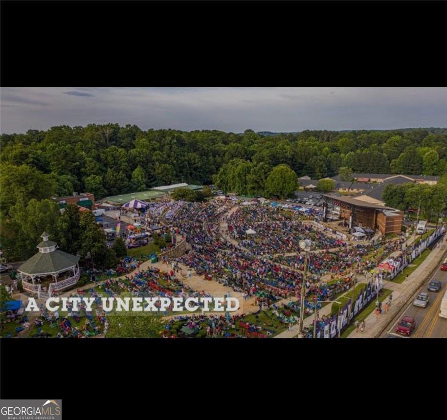 203 Goshen Lane Woodstock - Photo 25