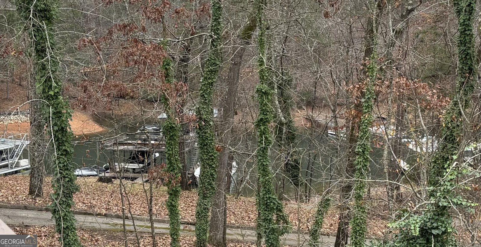 5997 Warpath Road Flowery Branch - Photo 12