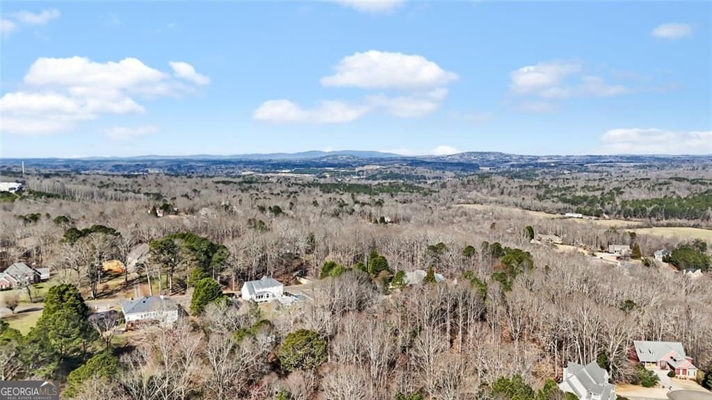 115 Mountain Falls Way Canton - Photo 48