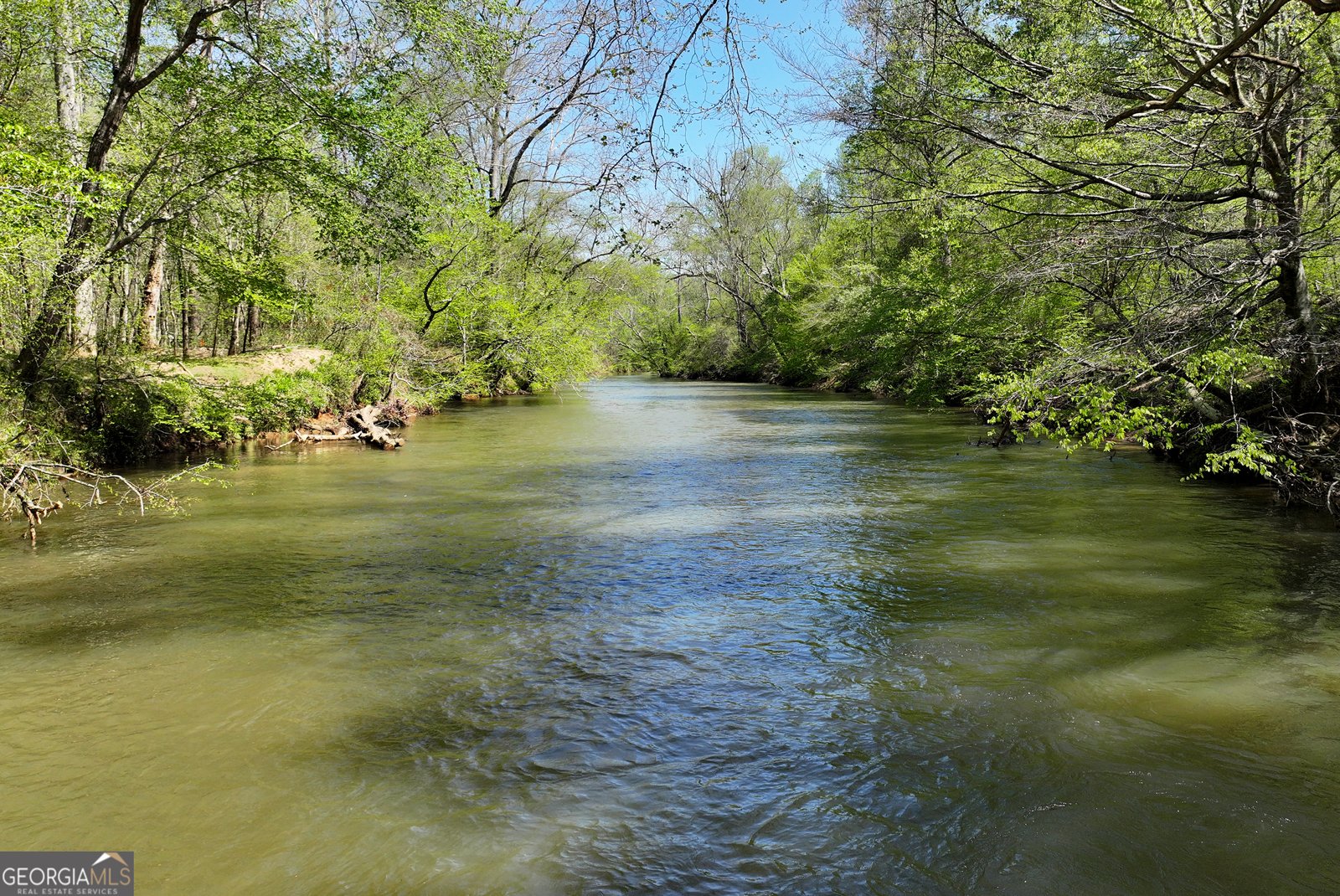 1060 Golden Avenue Dahlonega - Photo 50