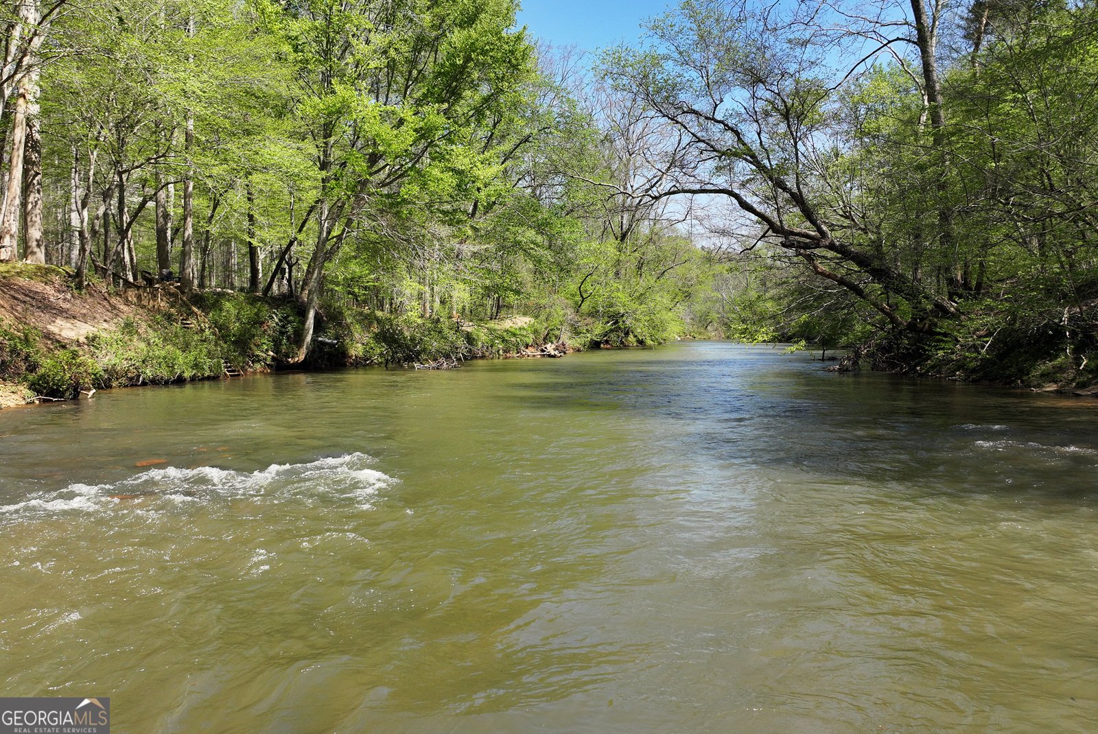 1060 Golden Avenue Dahlonega - Photo 64