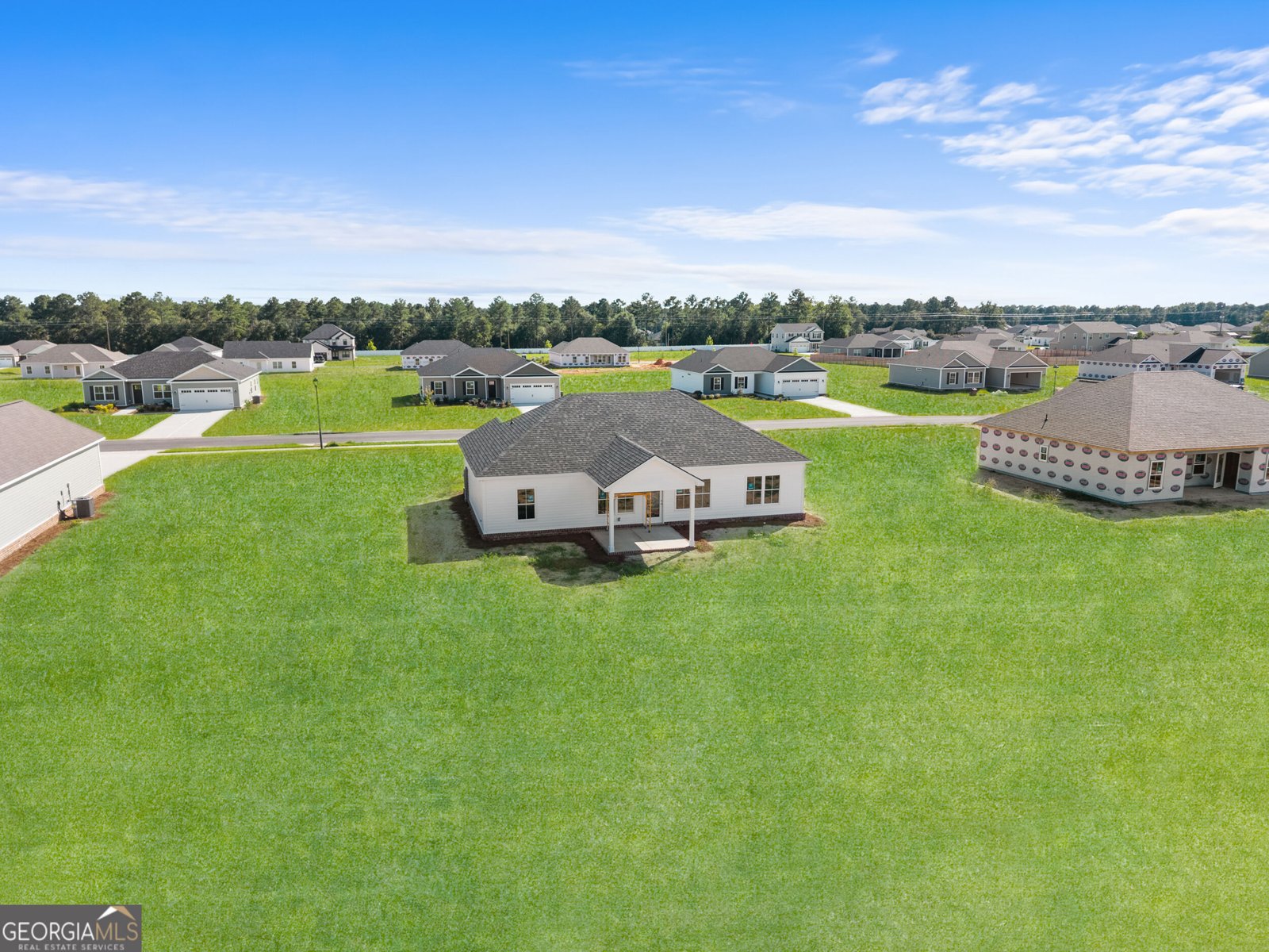 317 Barney Run Statesboro - Photo 24