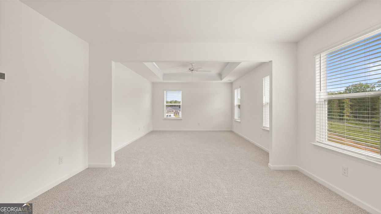 2867 Eucalyptus Road Loganville - Photo 34