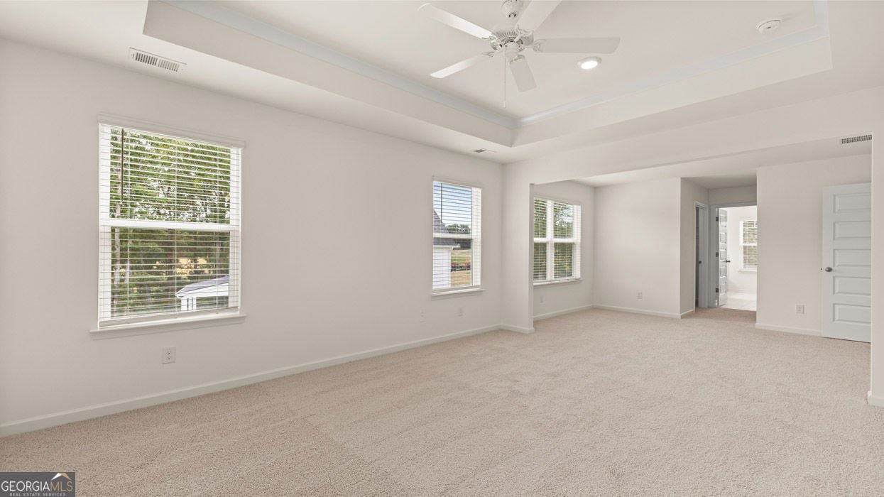 2867 Eucalyptus Road Loganville - Photo 35