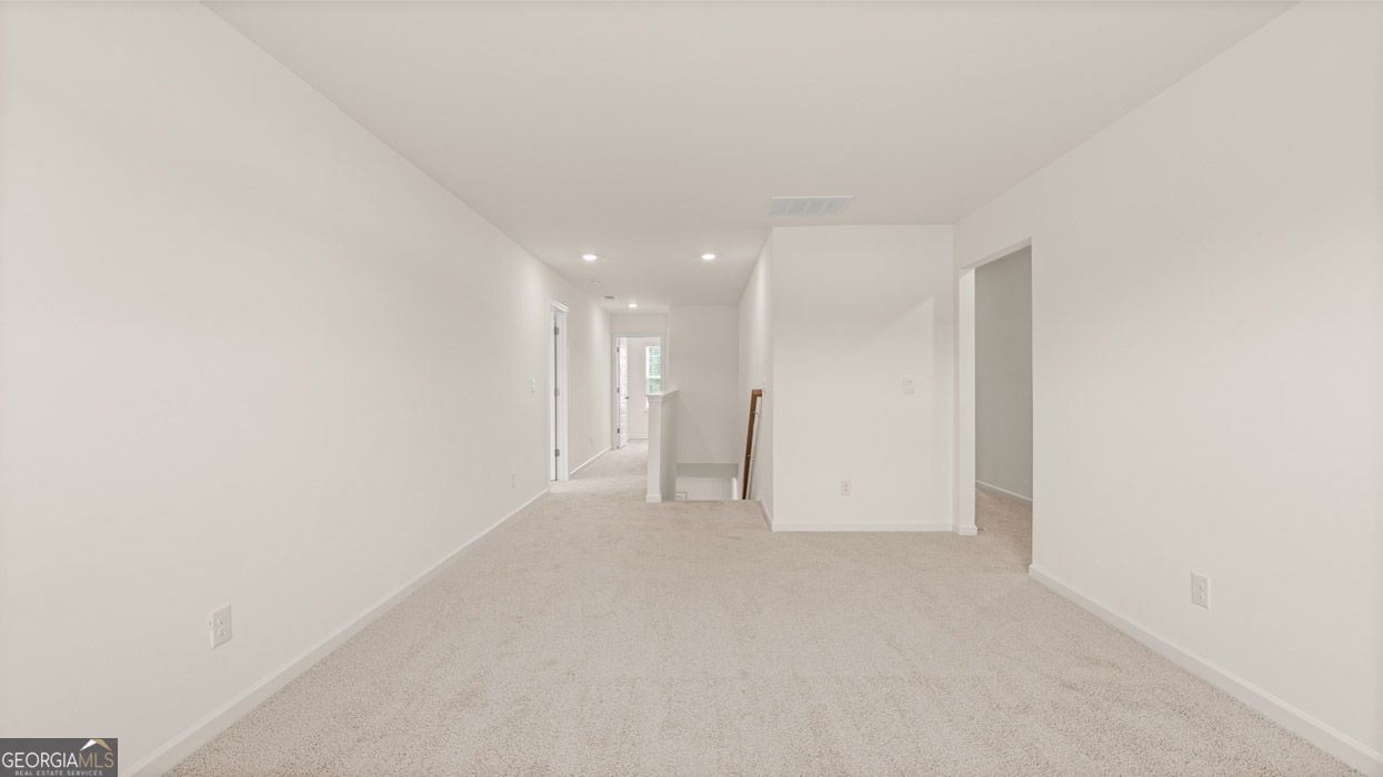 2867 Eucalyptus Road Loganville - Photo 43