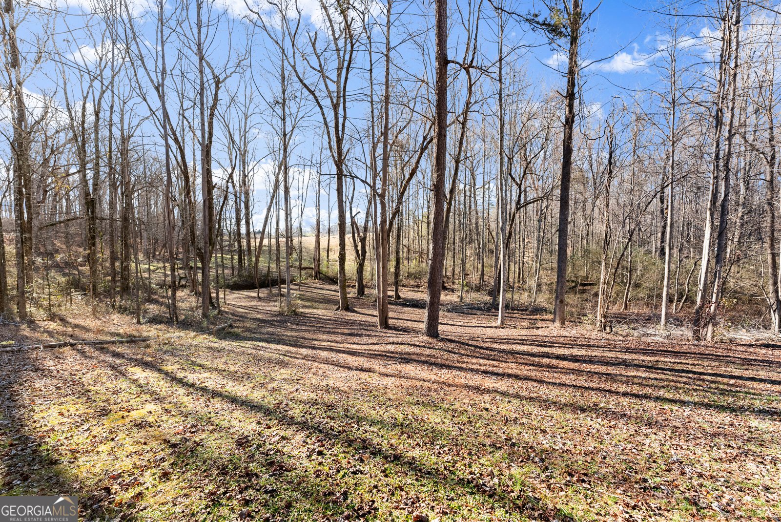 322 Ash Wood Lane Cleveland - Photo 38