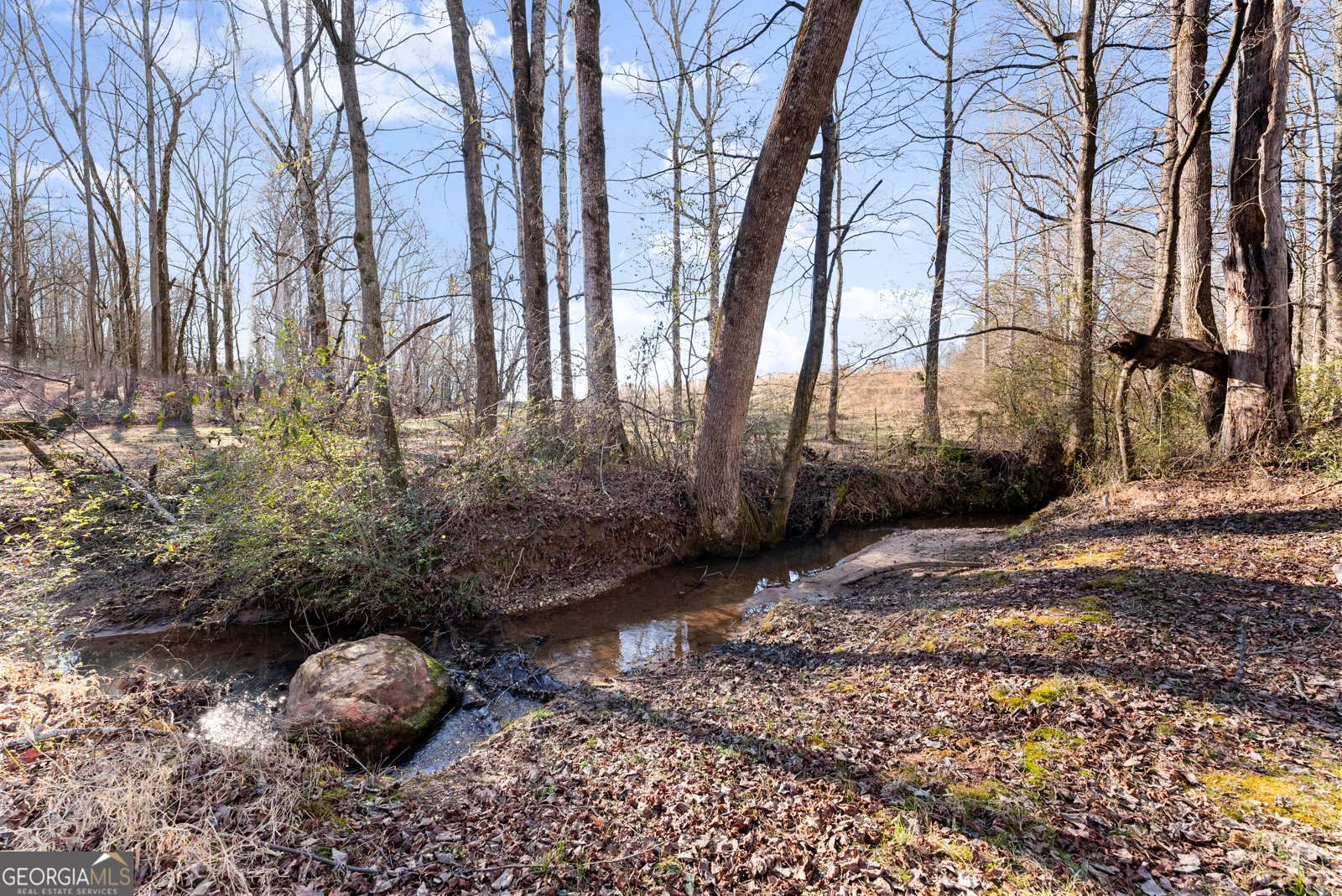 322 Ash Wood Lane Cleveland - Photo 39