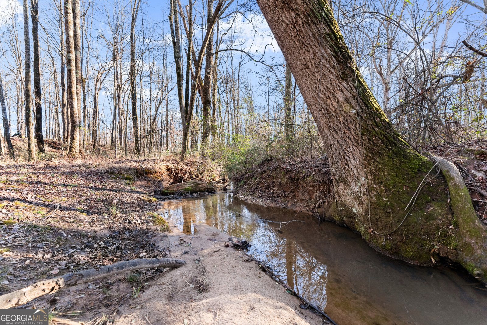 322 Ash Wood Lane Cleveland - Photo 40