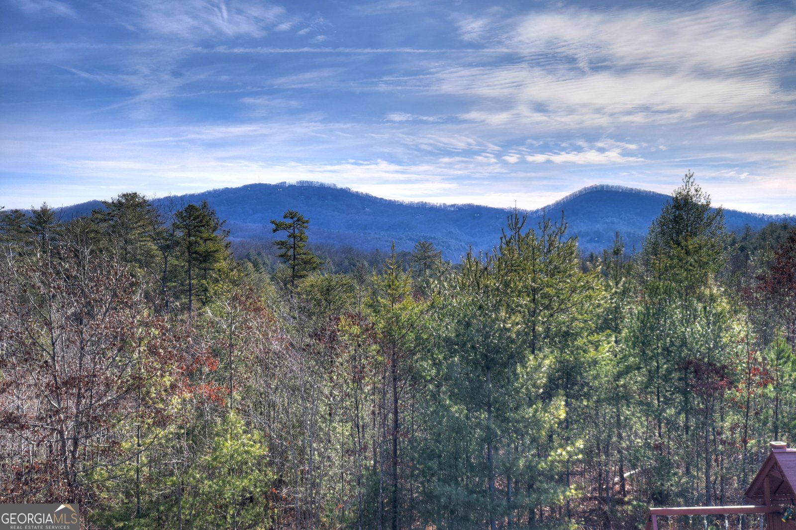 1038 Synacia Drive Mineral Bluff - Photo 47