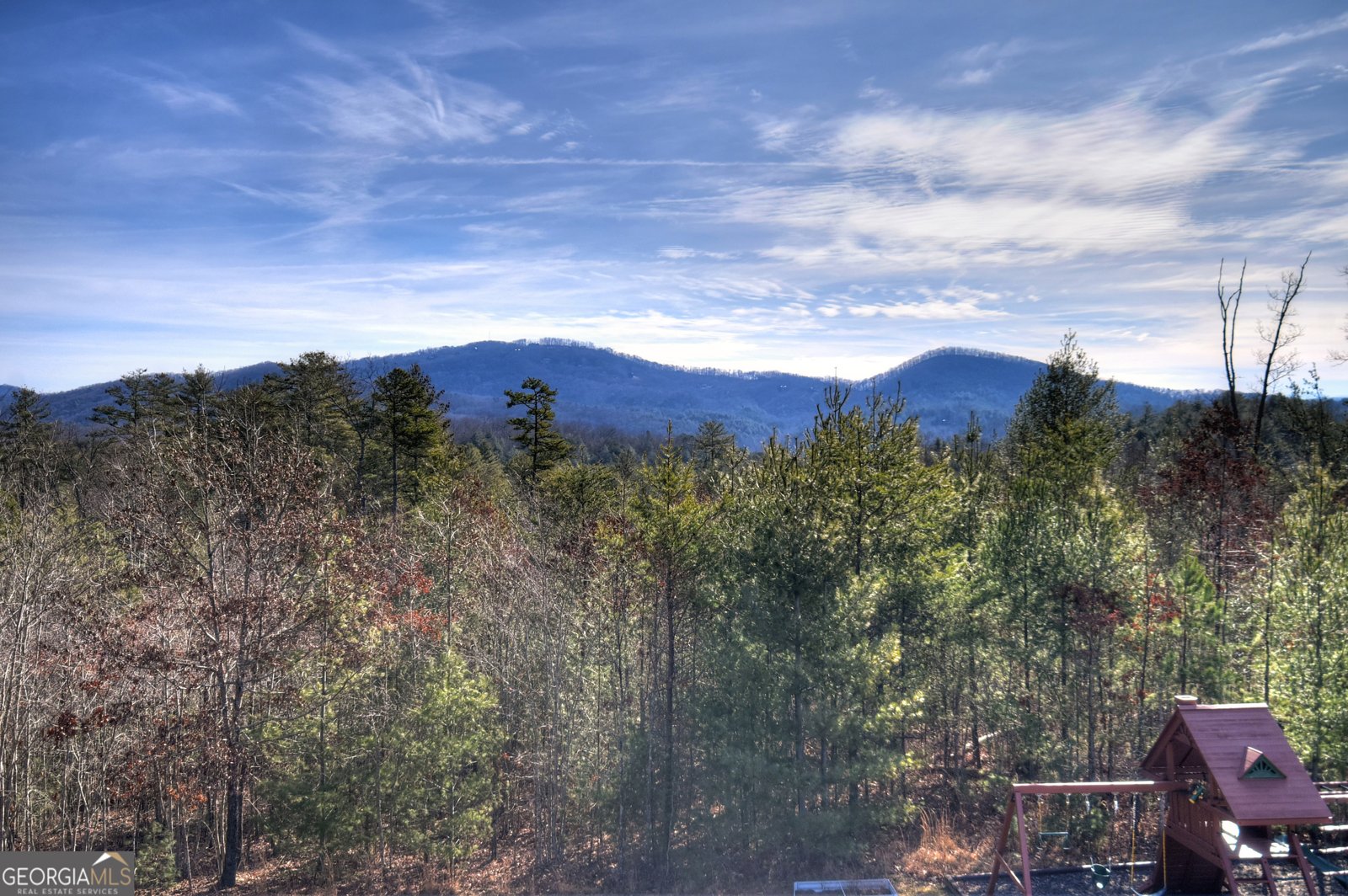 1038 Synacia Drive Mineral Bluff - Photo 54