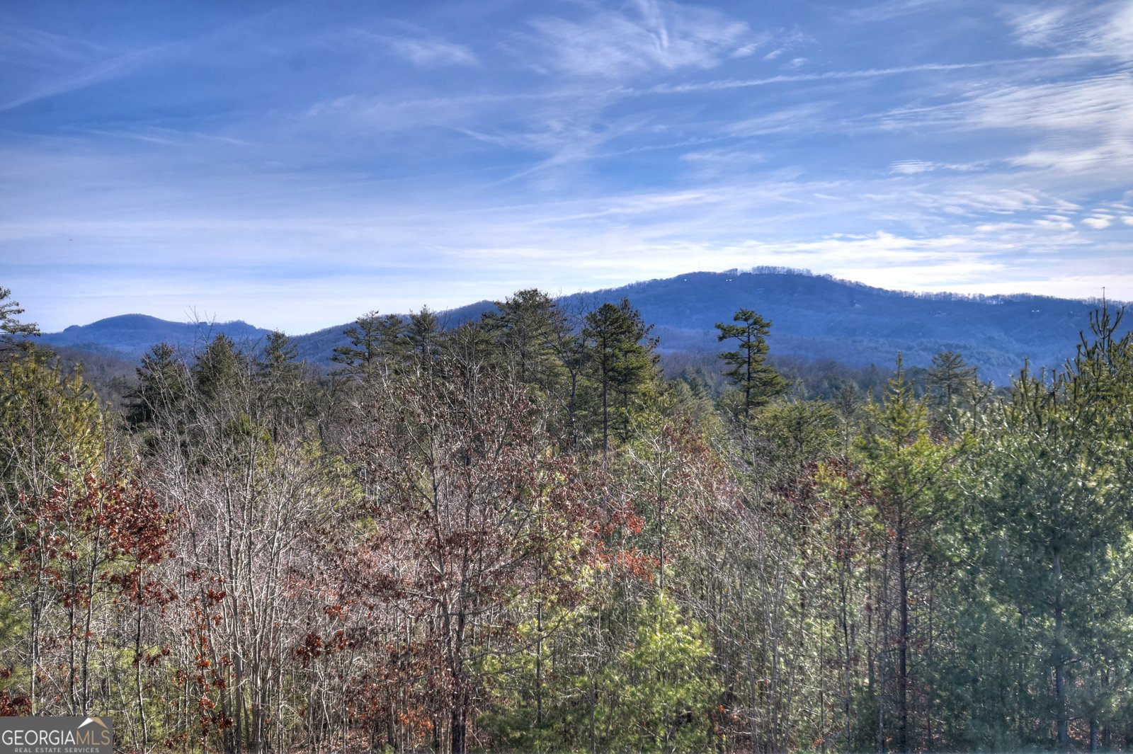 1038 Synacia Drive Mineral Bluff - Photo 55