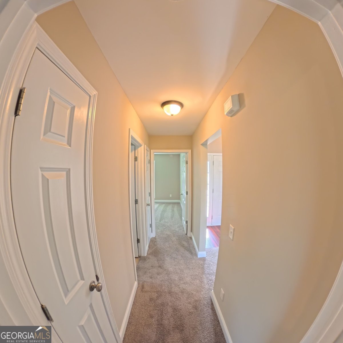 304 Boothill Court Statesboro - Photo 65