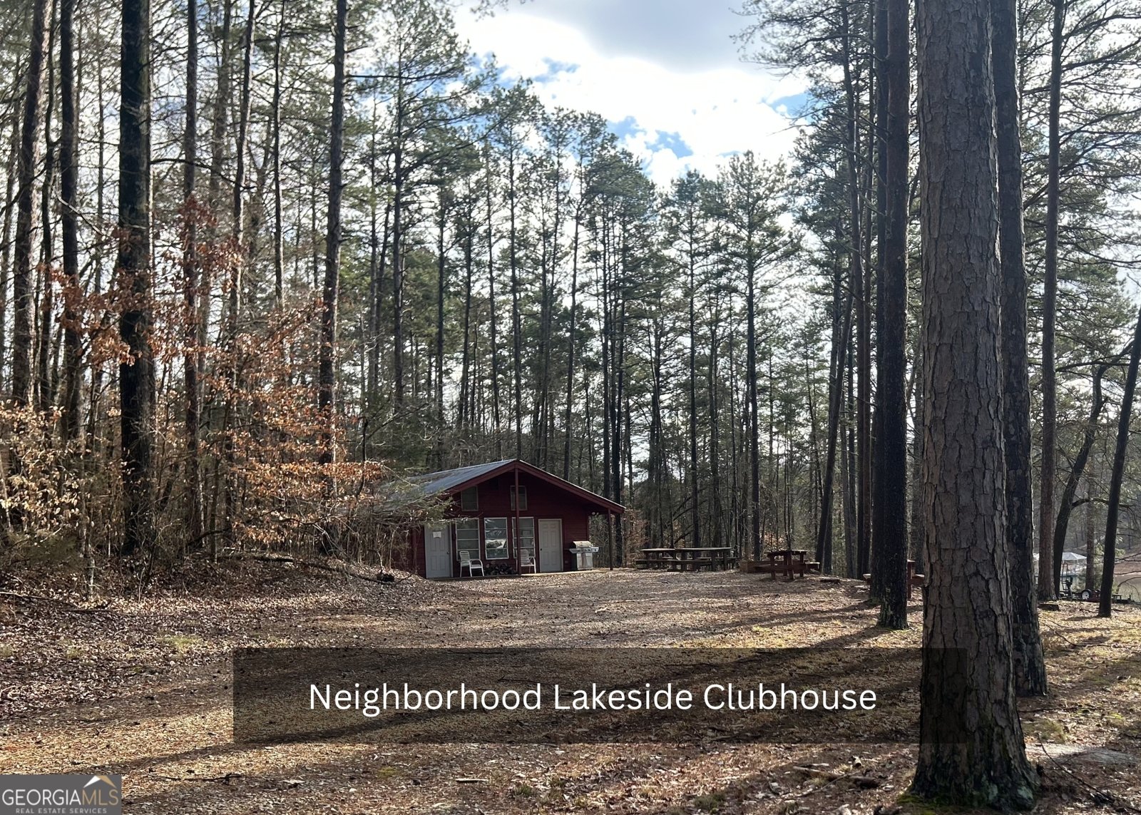 85 Sexton Lane Lavonia - Photo 9