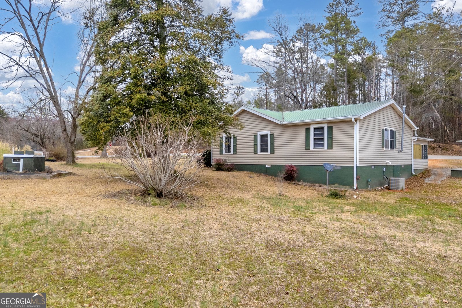 1707 Buena Vista Drive Toccoa - Photo 36