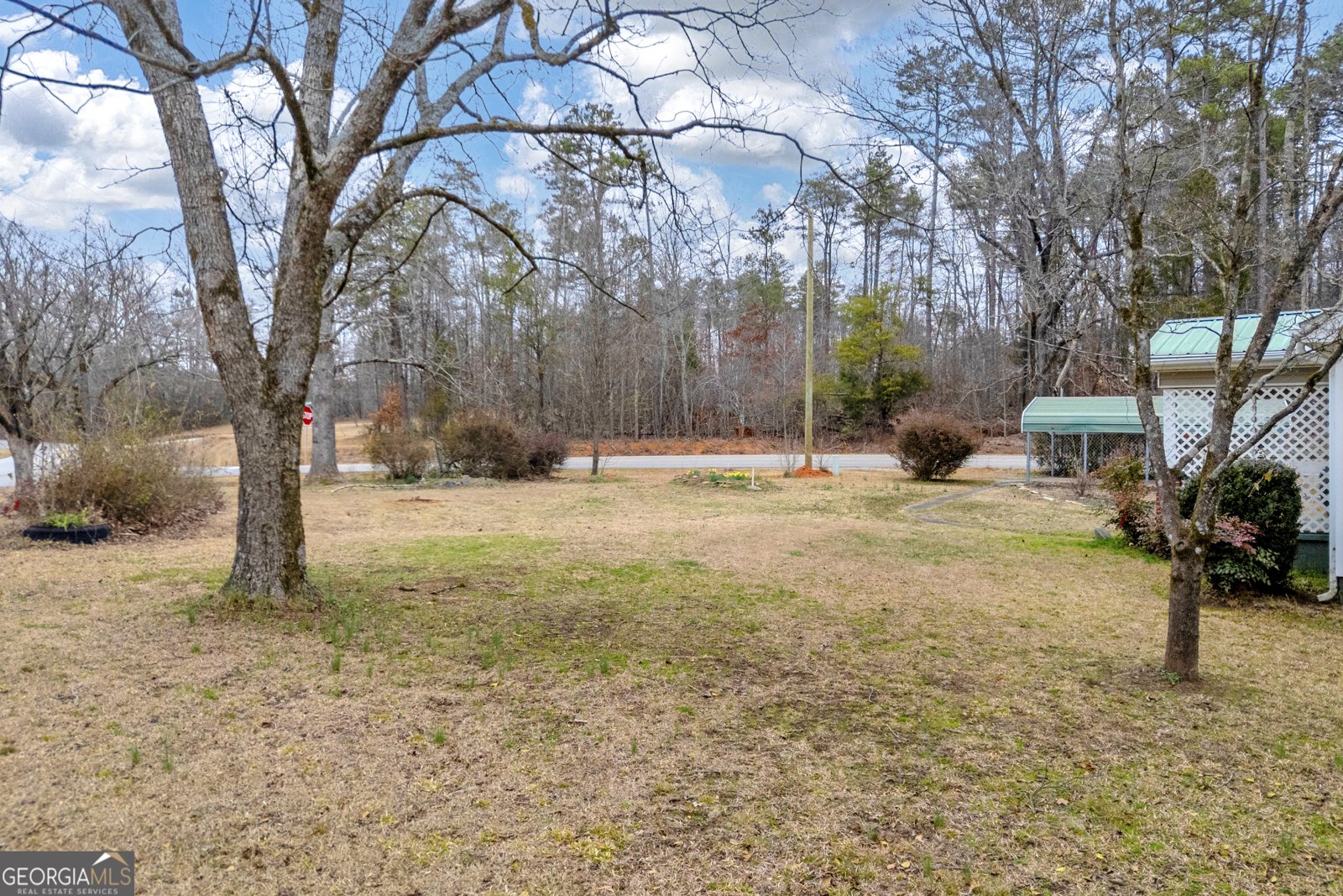 1707 Buena Vista Drive Toccoa - Photo 40