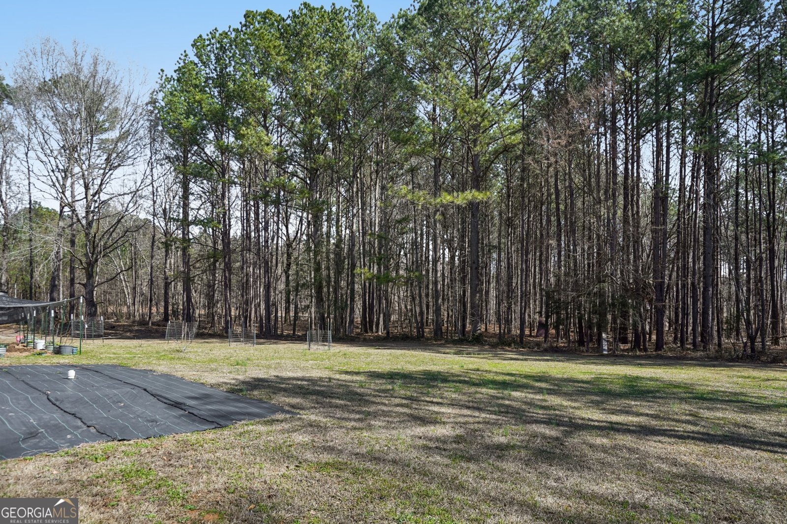 12782 Alcovy Road Covington - Photo 20