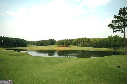 101 Cedar Woods Trail Canton - Photo 63