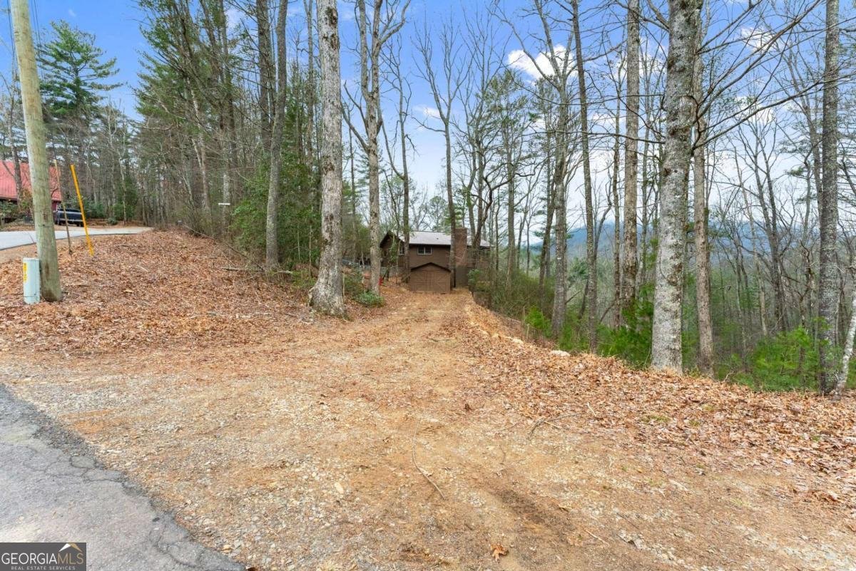 279 Cindy Cove Road Blairsville - Photo 44