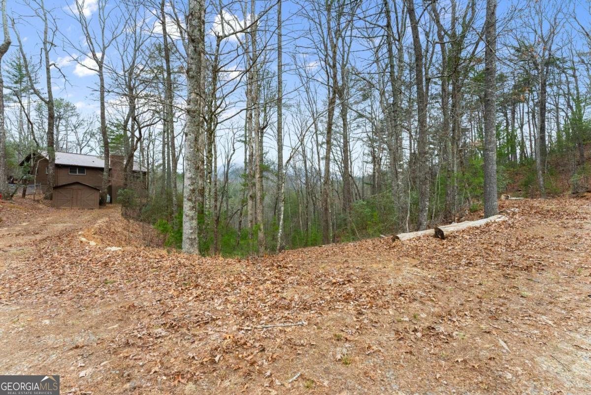 279 Cindy Cove Road Blairsville - Photo 45