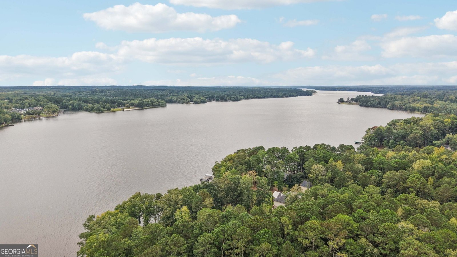 1651 Morgan Drive Buckhead - Photo 49