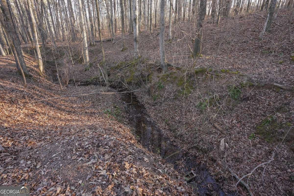 460 Holly Hills Lane Mcdonough - Photo 27