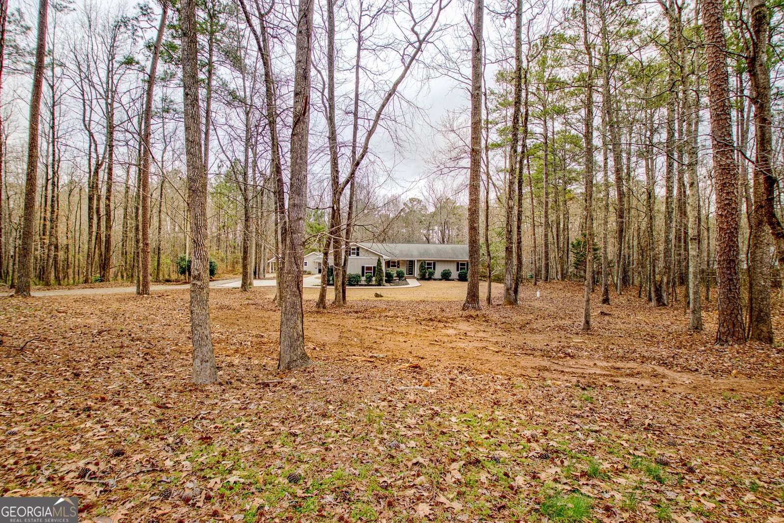 15 Glen Cannon Trail Newnan - Photo 87