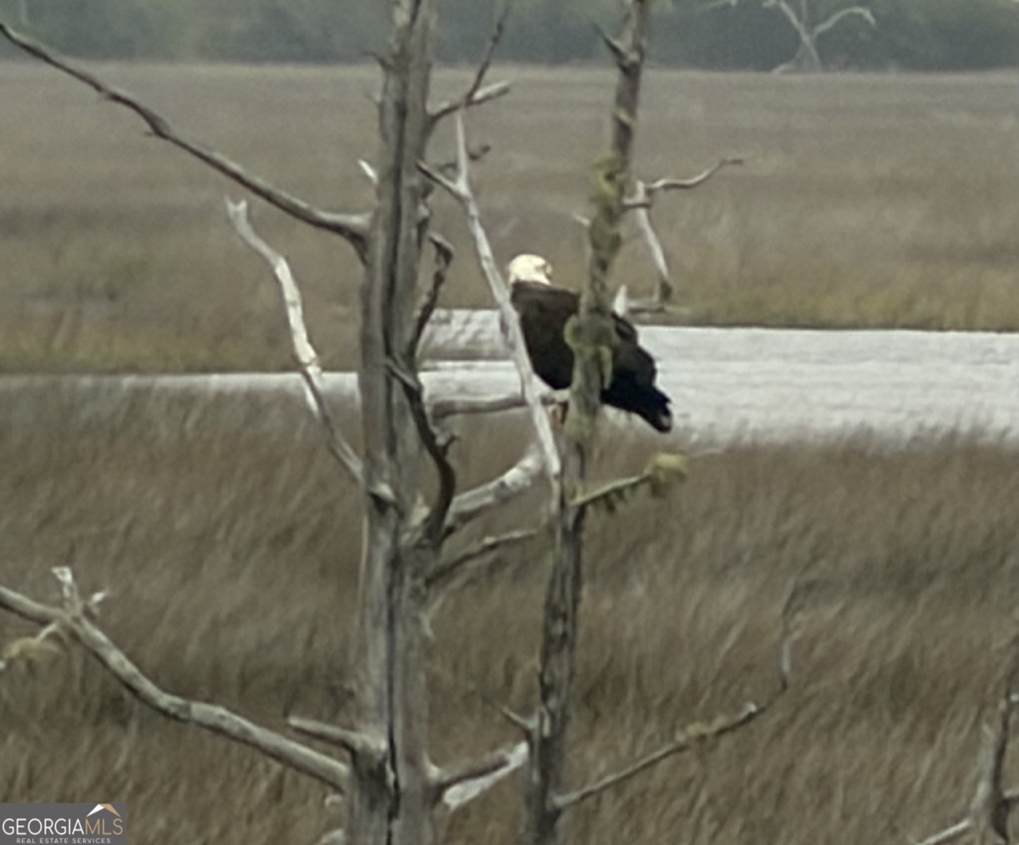 245 Jake Colton Drive Kingsland - Photo 37