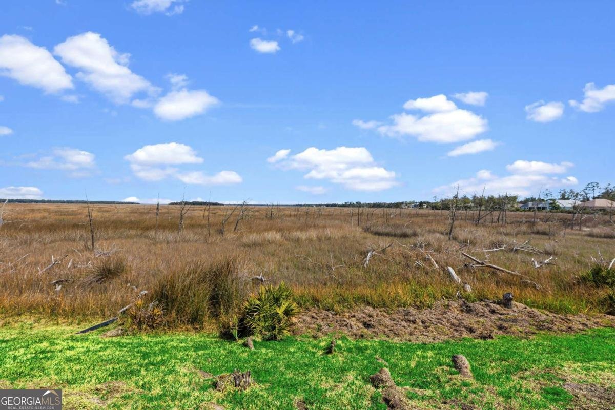 245 Jake Colton Drive Kingsland - Photo 39