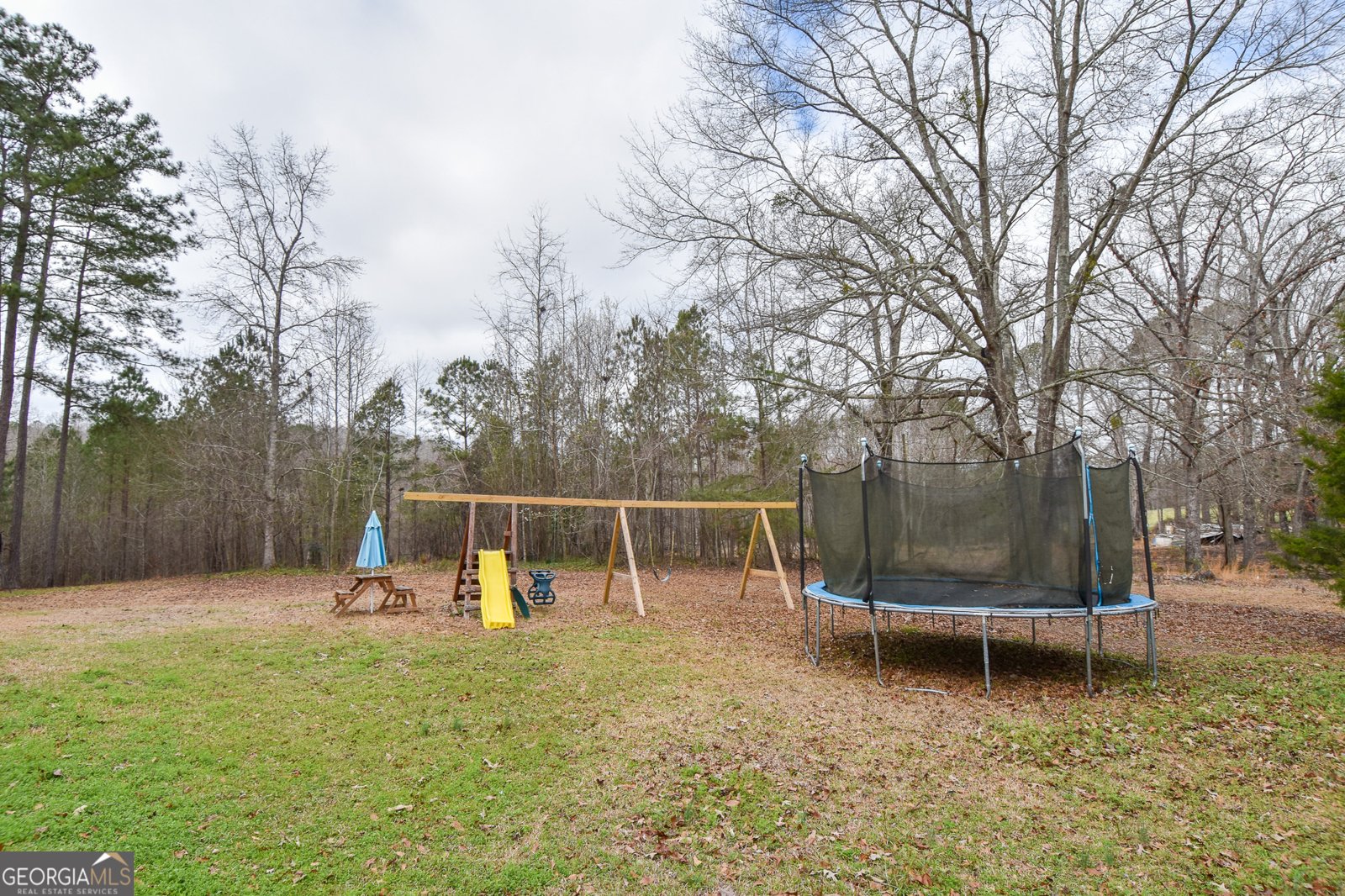 1021 Us Hwy 19 Meansville - Photo 46