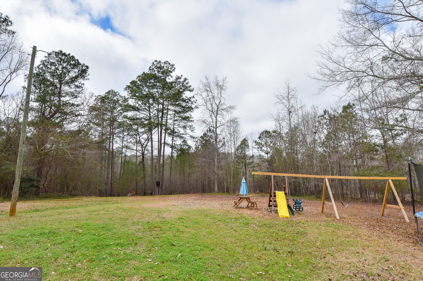 1021 Us Hwy 19 Meansville - Photo 47