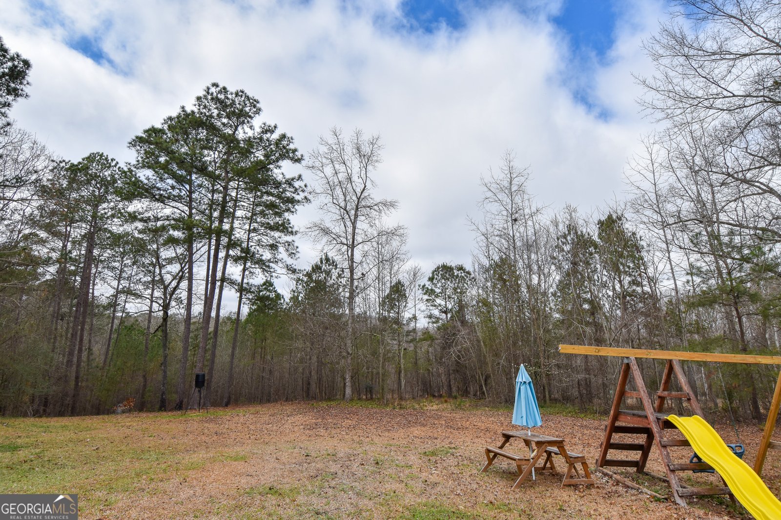 1021 Us Hwy 19 Meansville - Photo 48