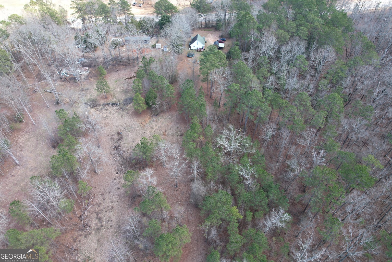 1021 Us Hwy 19 Meansville - Photo 64